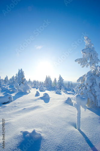 Winter in the finland