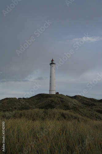 Leuchtturm Lyngvig auf Holmsland Klit 6