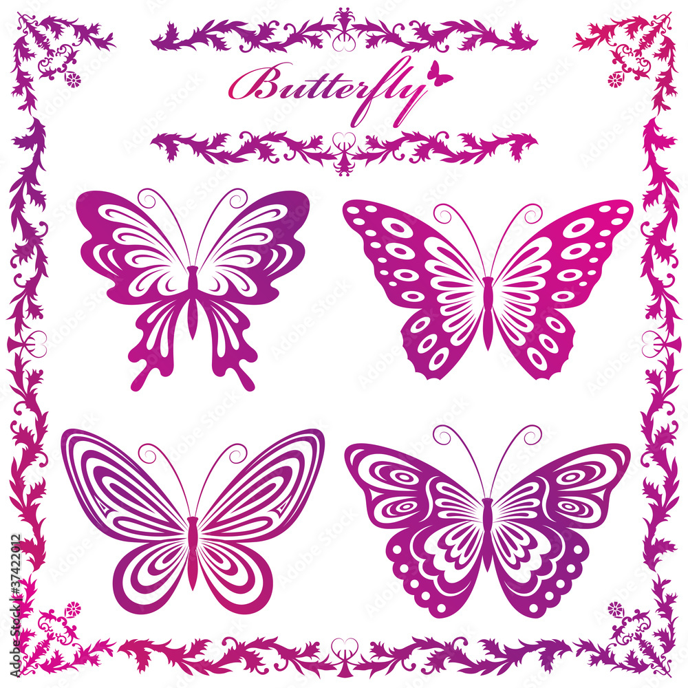 Butterfly Butterfly