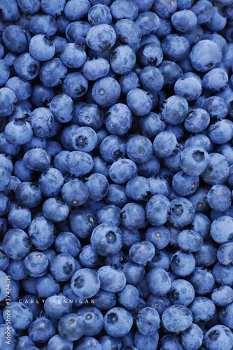 Blueberry background
