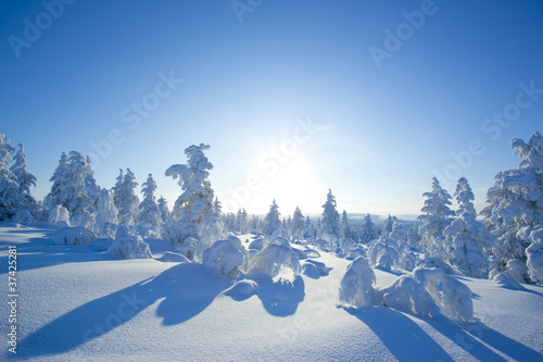 Winter in the finland