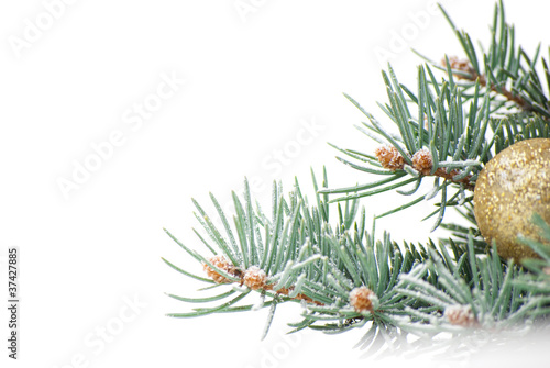 Christmas decorations with branch of tree on white