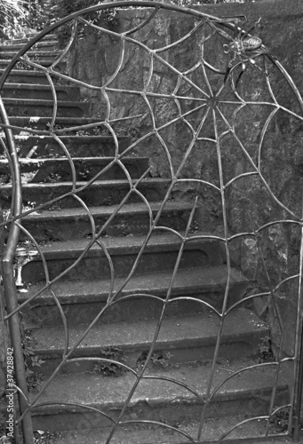 Spider and Web Iron Gate With Stairs #37428842