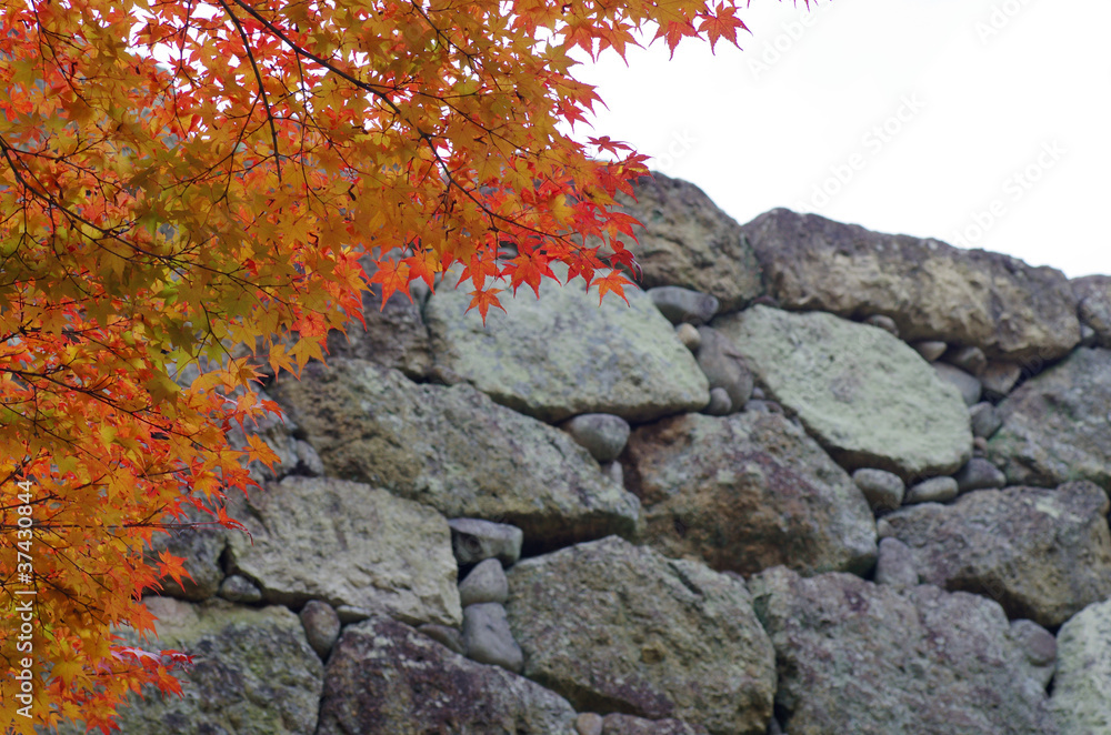 姫路城の石垣と紅葉