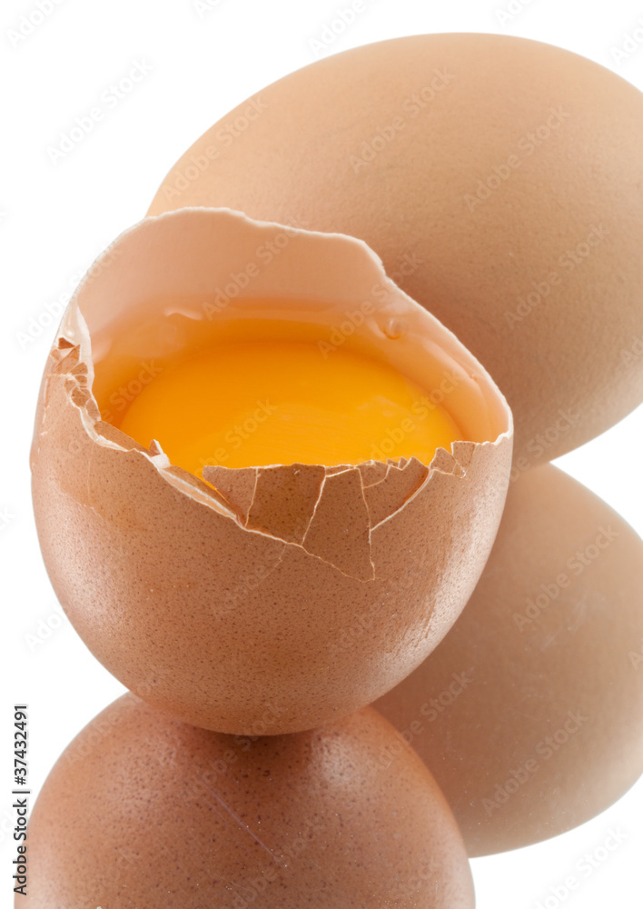 jaune d'oeuf Photos Adobe Stock