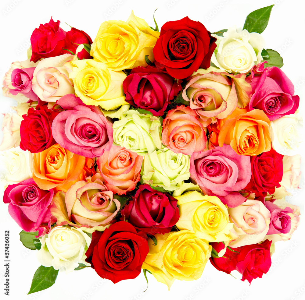 colorful roses, beautiful flower bouquet on white background colorful roses, beautiful flower bouquet on white background