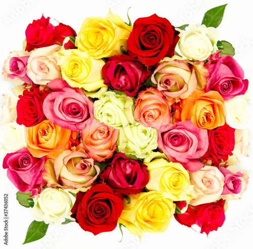 colorful roses  beautiful flower bouquet on white background