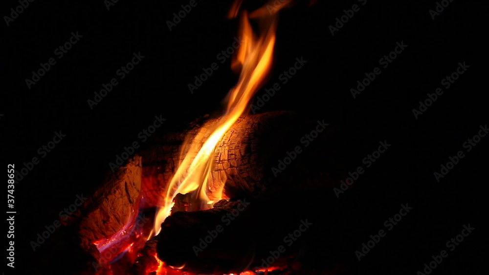 Flame at the night burning a tree Flame at the night burning a tree