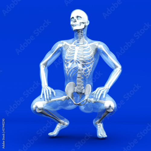 Anatomie - Sitzen