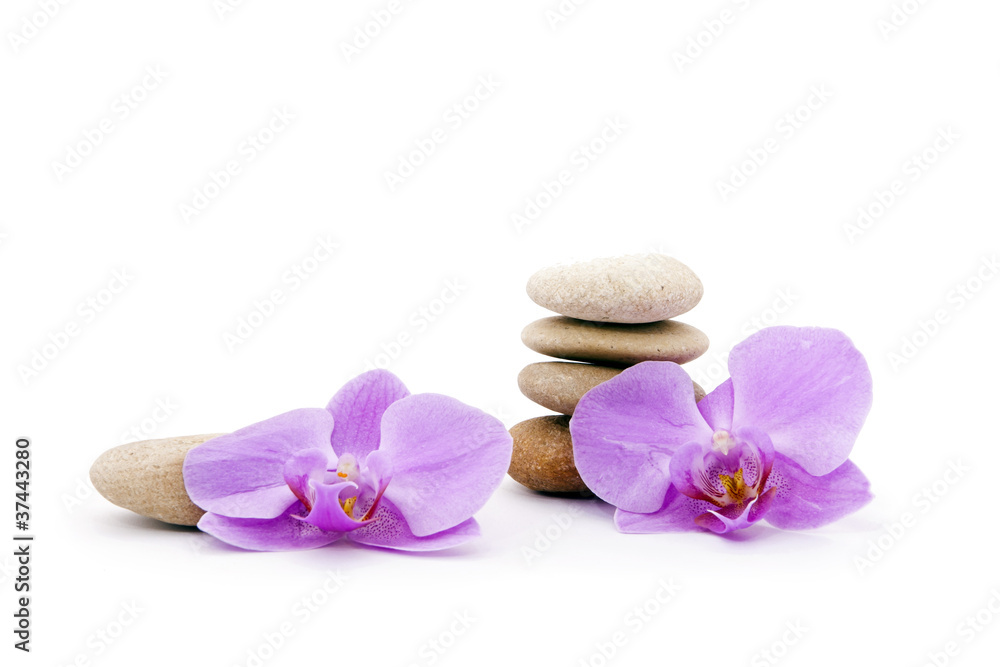 Pink Orchid and the stones themselves. Pink Orchid and the stones themselves.