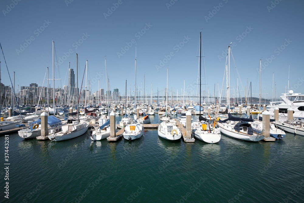 Sailboats Moored In Harbor Horizontal