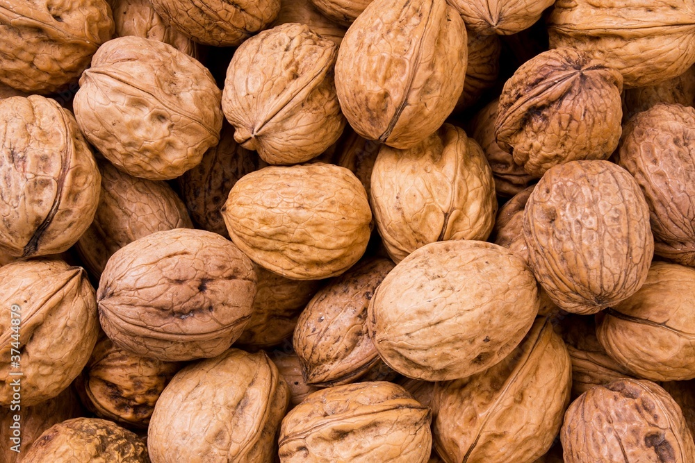 Close up of lots of walnuts Close up of lots of walnuts
