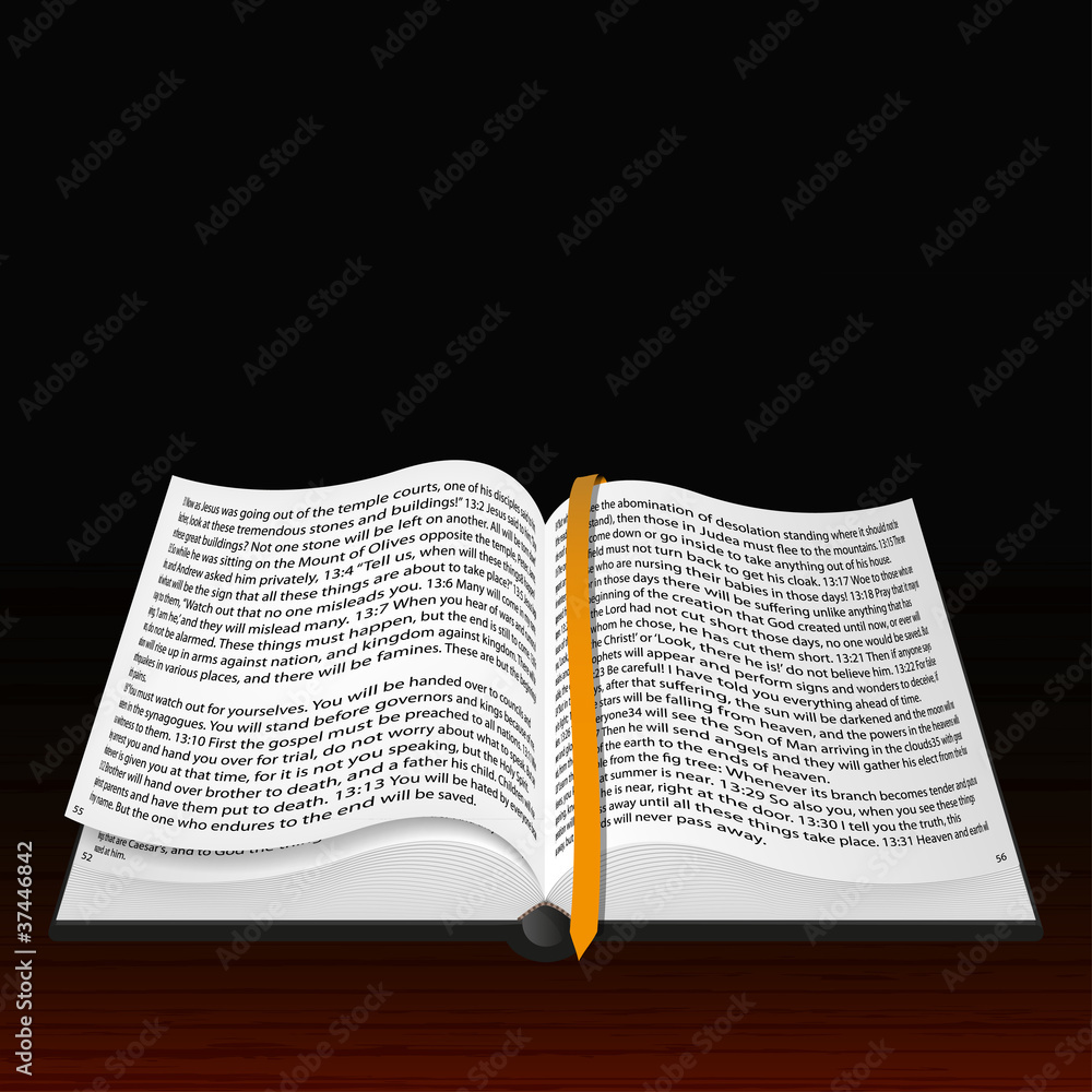 Obraz premium Vector open Bible. Best choice