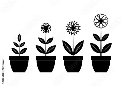 Icons of flowers