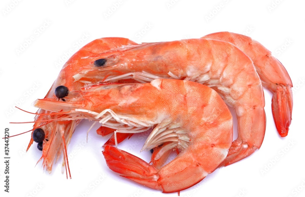 Gambas