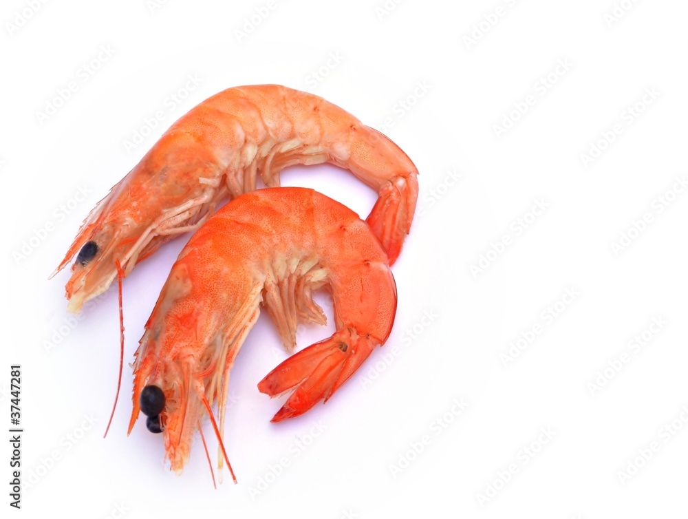 Gambas Gambas