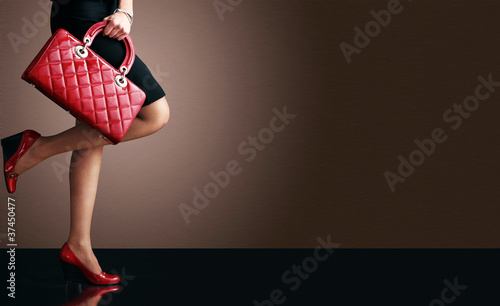 fashion photo, sexy woman with handbag