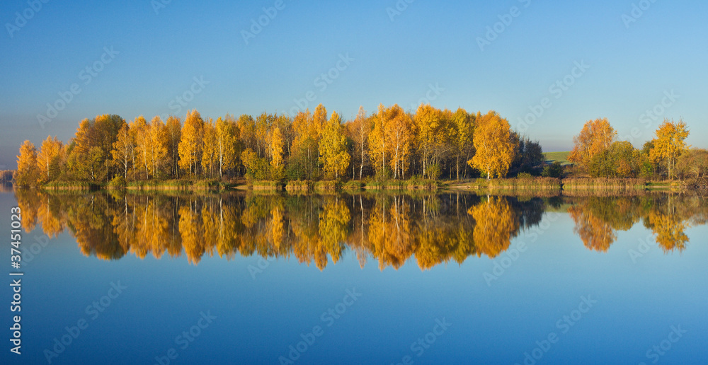 autumn panorama