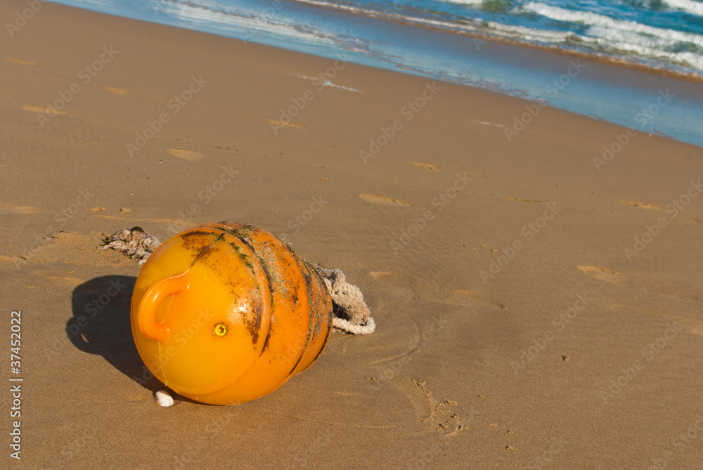 Obraz premium Flotsam