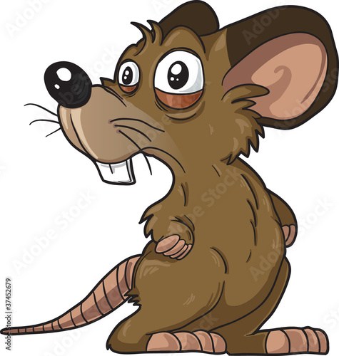 Scared Brown Mouse isolated.