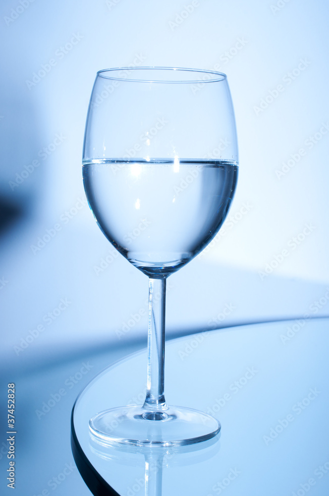 Glass of white wine on the table Glass of white wine on the table