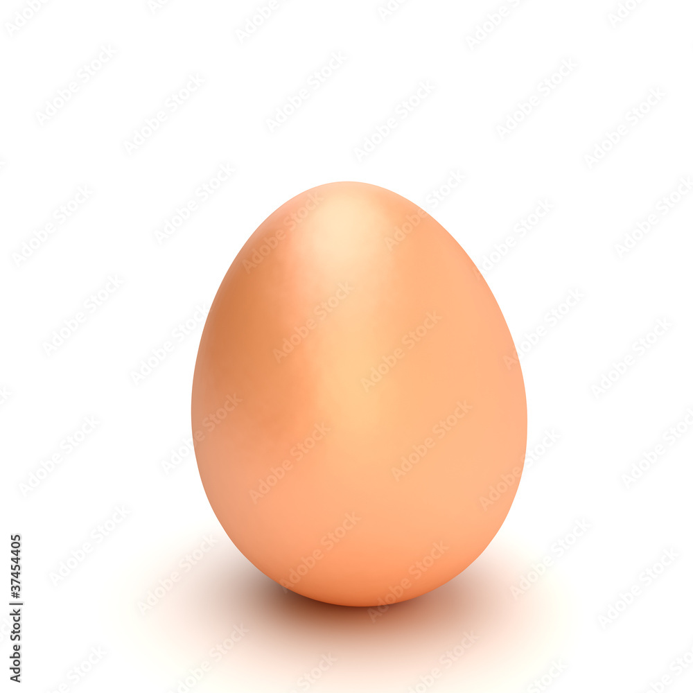 fresh egg isolated on white fresh egg isolated on white