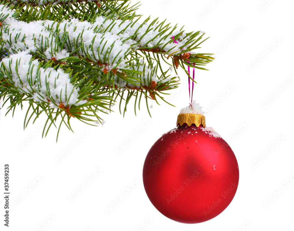 Christmas ball on the tree isolated on white Christmas ball on the tree isolated on white