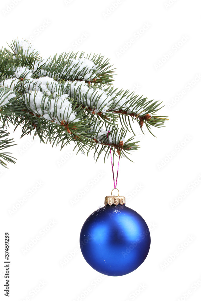 Christmas ball on the tree isolated on white Christmas ball on the tree isolated on white