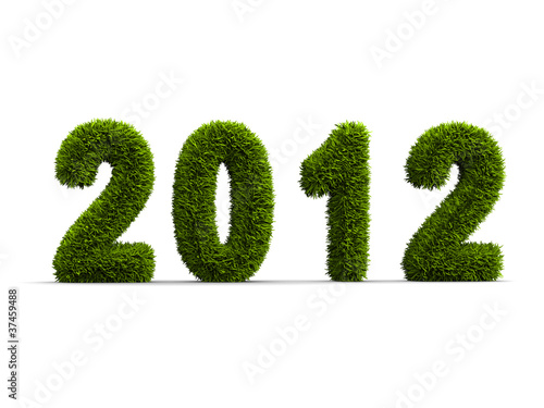 2012 new year grass concept