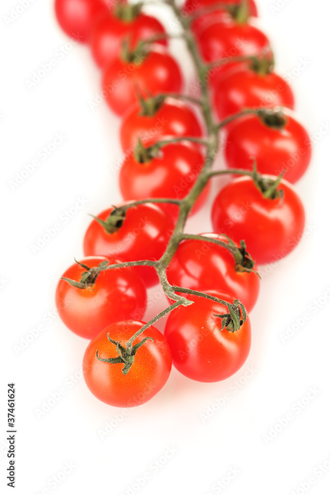 Beautiful cherry tomatoes on a branch isolated on white Beautiful cherry tomatoes on a branch isolated on white