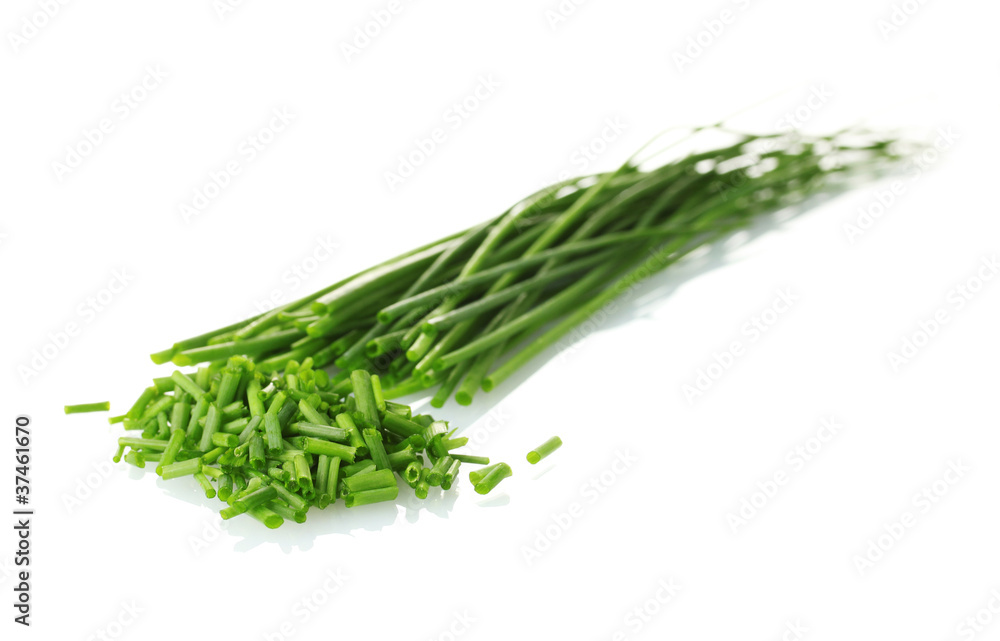 beautiful green onion chives isolated on white beautiful green onion chives isolated on white