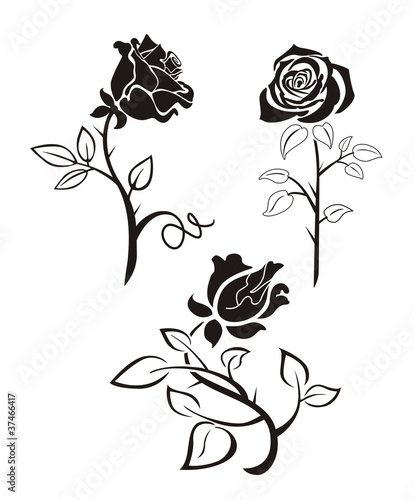 Rose silhouette #37466417