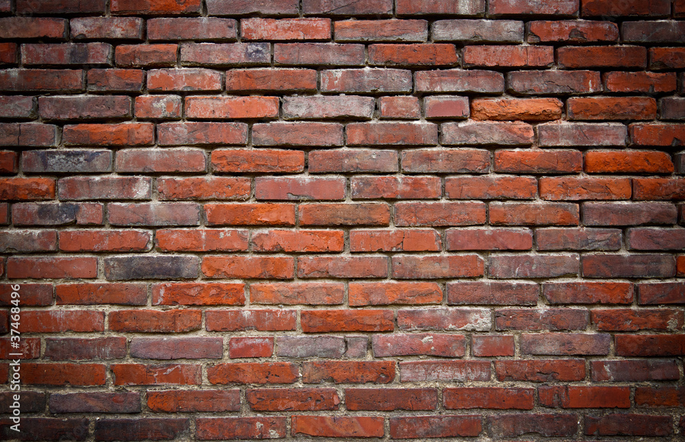 Fototapeta premium grunge wall background