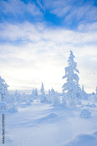 Winter in the finland
