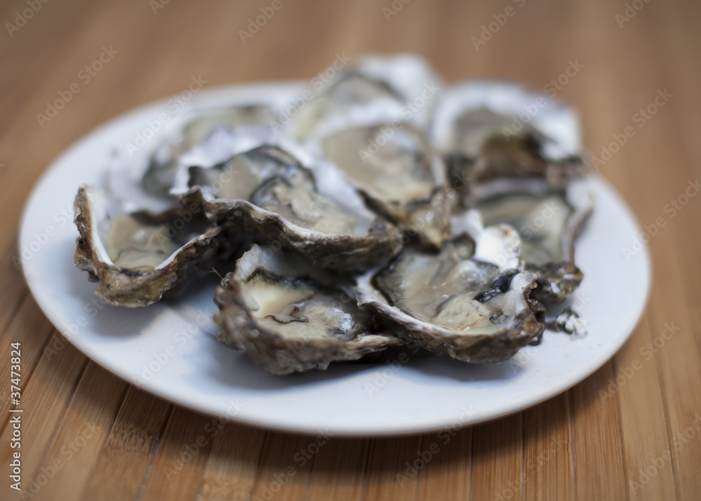 huîtres ouvertes sur assiette blanche huîtres ouvertes sur assiette blanche