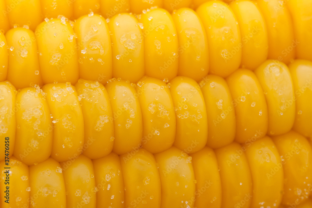 boiled corn with salt closeup boiled corn with salt closeup