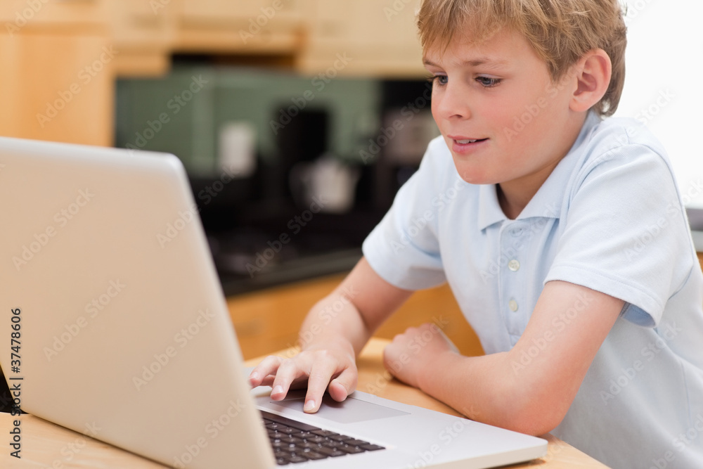 Lovely boy using a laptop Lovely boy using a laptop