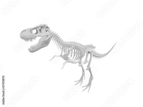 Dinosaur skeleton © Yang MingQi