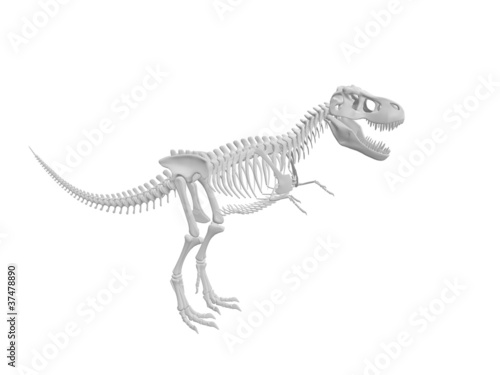 Dinosaur skeleton