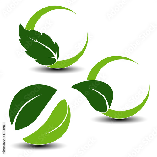 Vector natural symbols with leaf