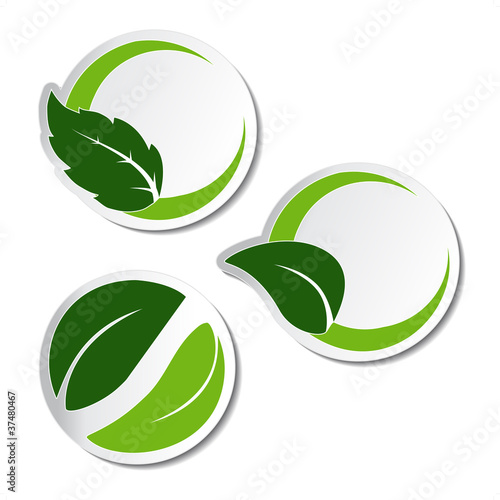 Vector natural stickers with leaf