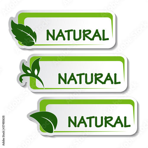 Vector natural stickers with leaf