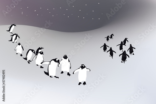 Penguins background
