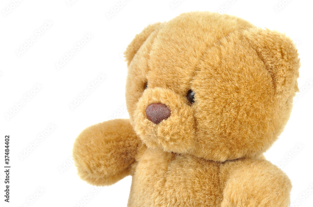 Teddy bear Teddy bear