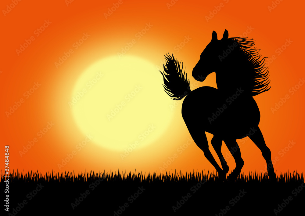 horse running on the sunset background,vector image horse running on the sunset background,vector image