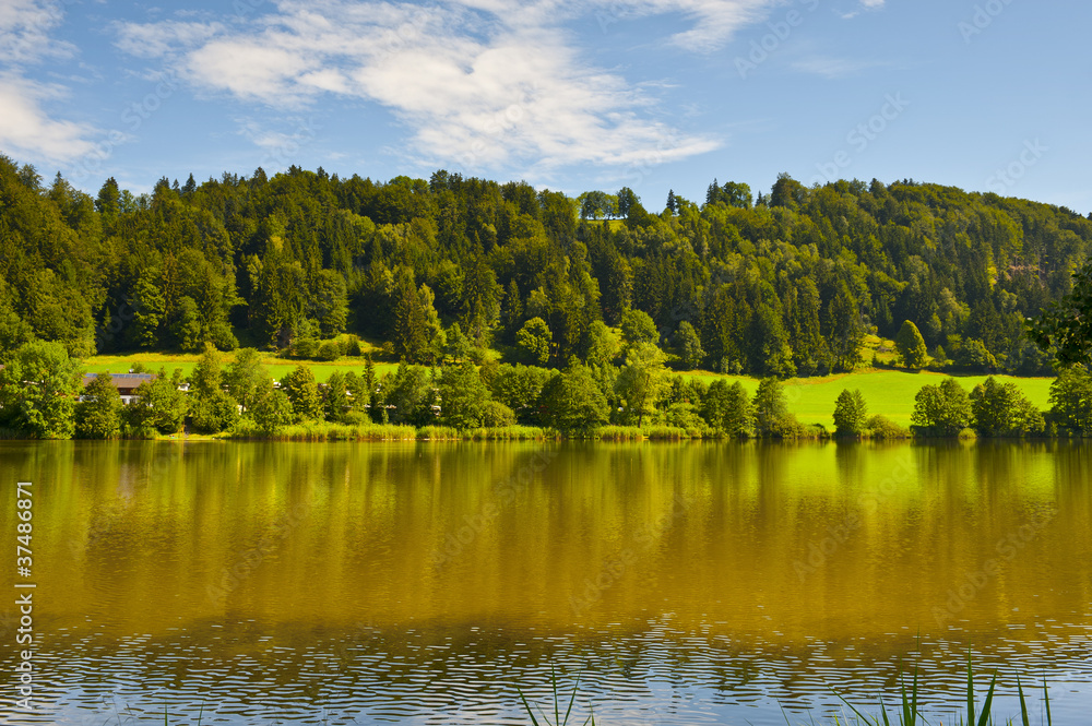 Obraz premium Shore of Lake