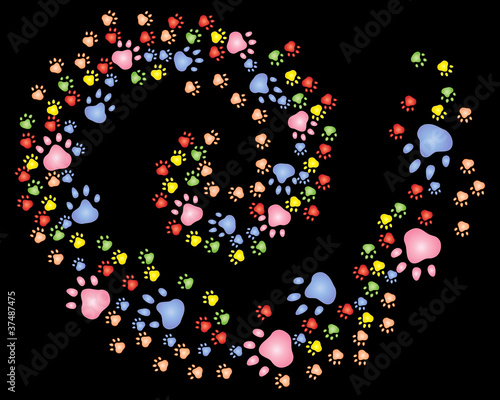 paw print spiral