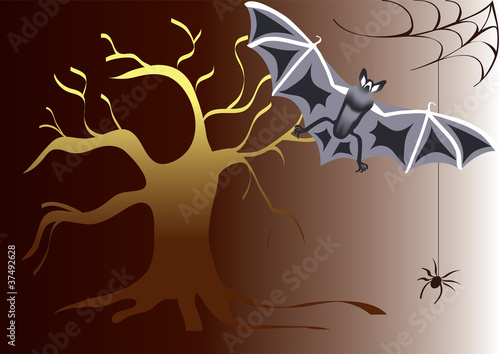 Halloween, tree, bat and spider