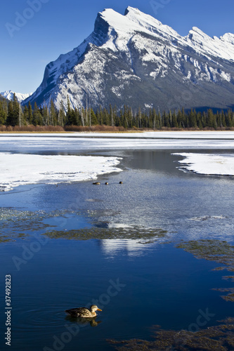 Mount Rundle Reflections