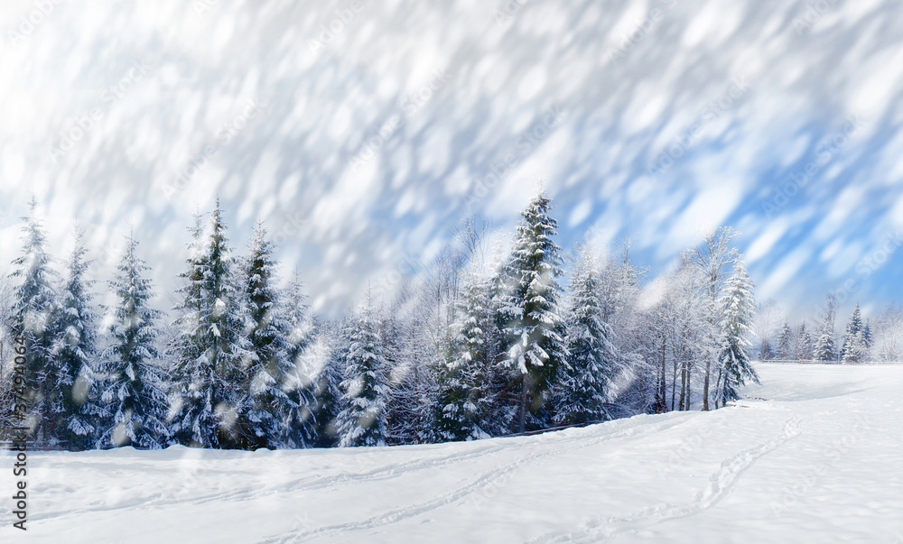 Fototapeta premium Beautiful winter landscape with snow covered trees